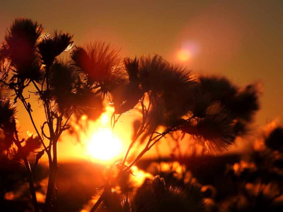 Netherlands background abendstimmung