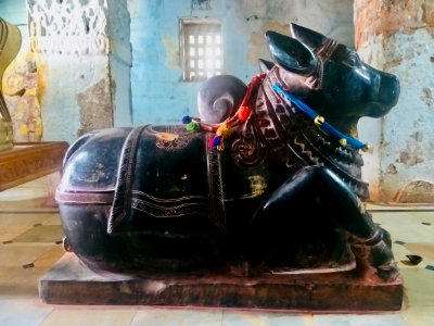 Sivanandiswara temples complex, Kadamara kalava, Andhra Pradesh India - 03 photo