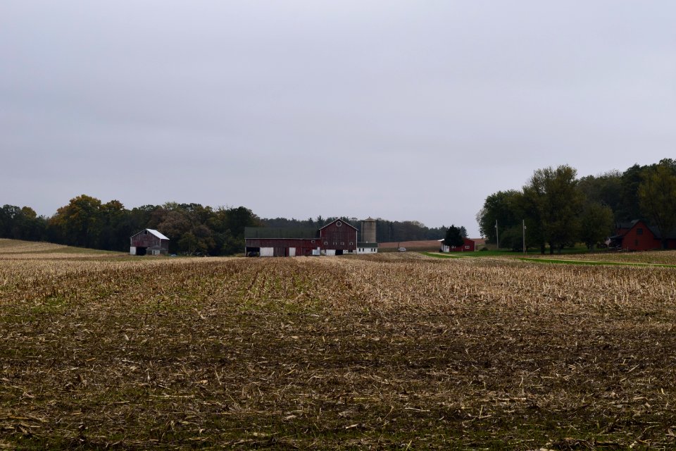 Site of the Harrison Stebbins House