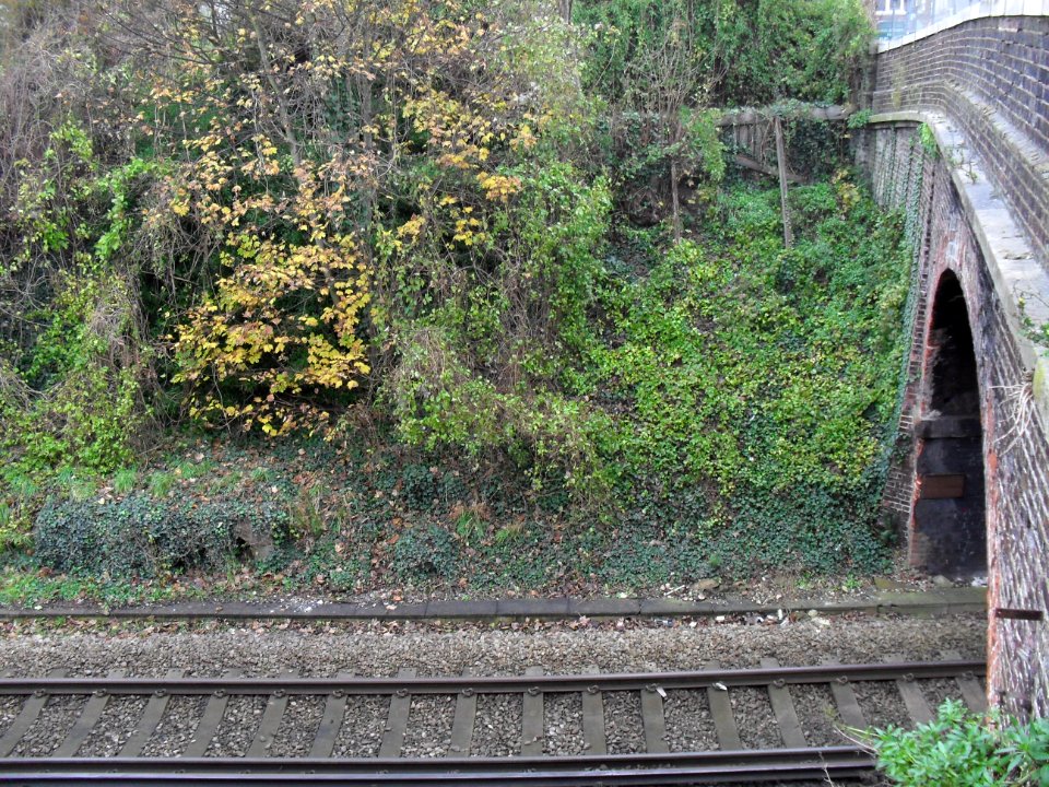 Site of Holland Road Halt, Hove (November 2010) (3)
