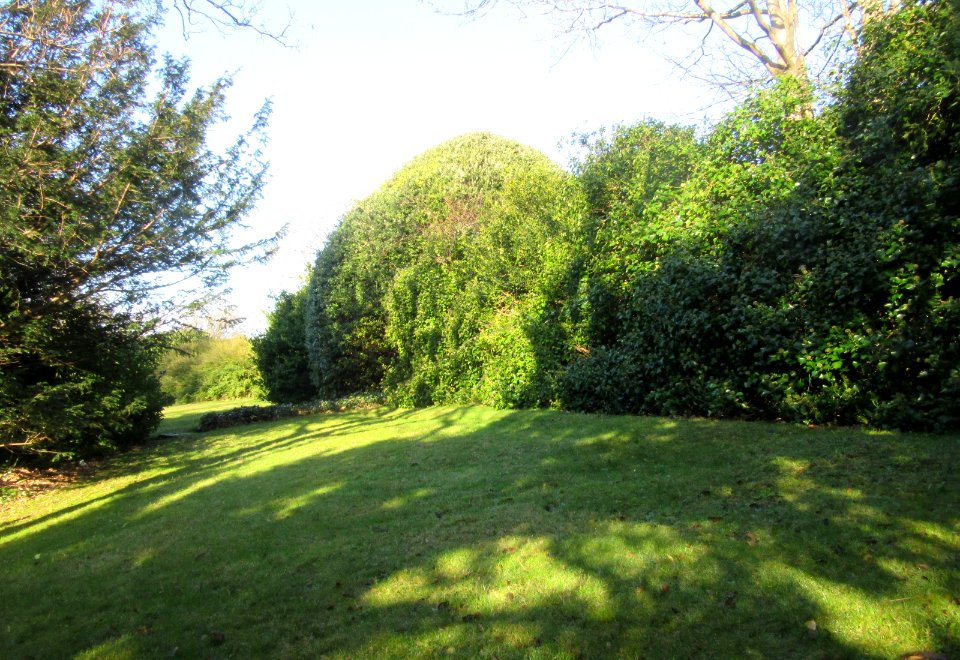 Site of former Quaker Burial Ground (behind hedges), The Green, Rottingdean (December 2016) (2)