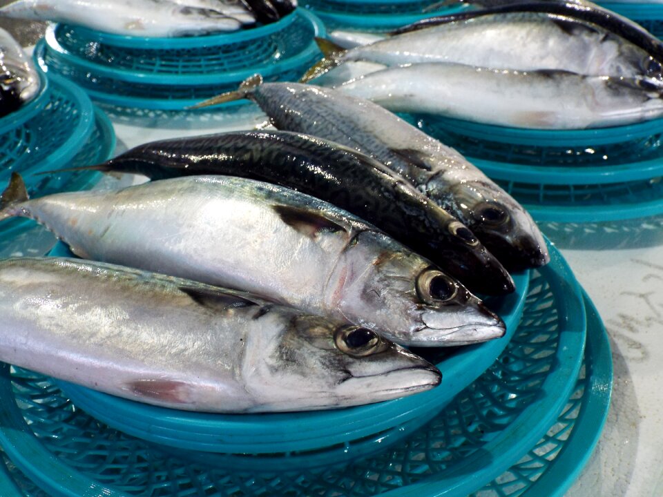 Food freshwater fresh