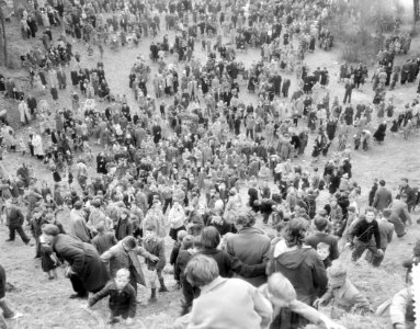 Sittard Kollenberg krombroodjes rapen door kinderen, Bestanddeelnr 906-3600 photo