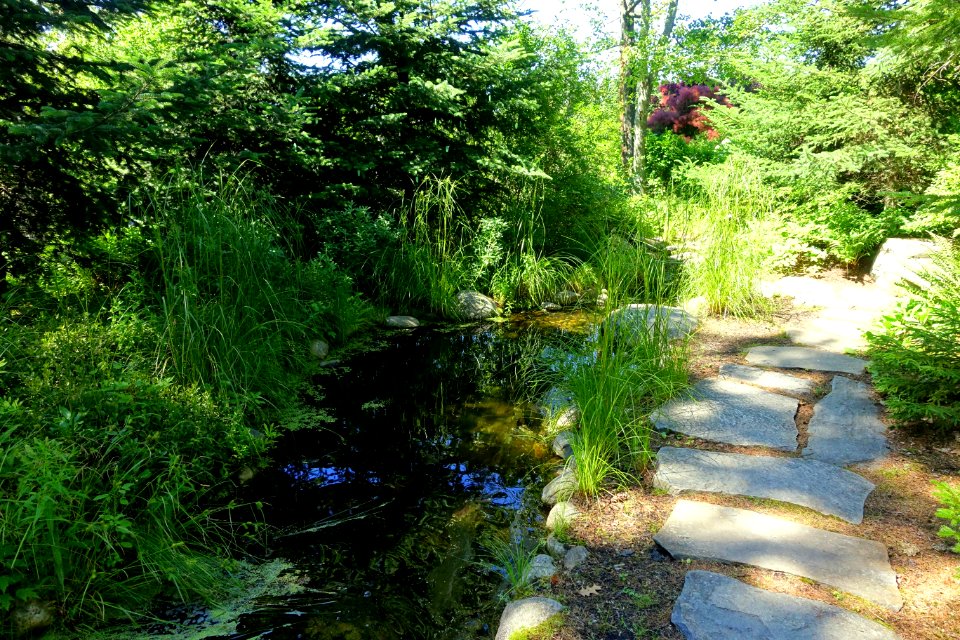 Sitting place - Coastal Maine Botanical Gardens - DSC03224