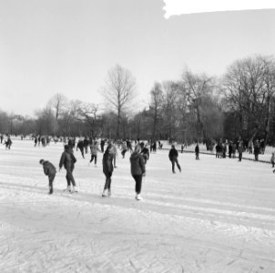 Skien op het kopje van Bloemendaal, Bestanddeelnr 917-2751