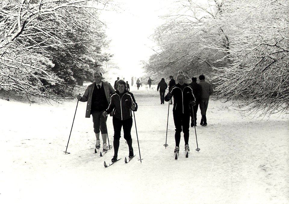 Skiën in de Waterleidingduinen te Overveen. Aangekocht in 1981 van fotograaf C. de Boer. - Negatiefnummer 20158 k 67. - Gepubliceerd in het Haarlems Dagblad dd. 08.12.1980. Identificatienumm, NL-HlmNHA 54011475