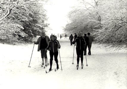 Skiën in de Waterleidingduinen te Overveen. Aangekocht in 1981 van fotograaf C. de Boer. - Negatiefnummer 20158 k 67. - Gepubliceerd in het Haarlems Dagblad dd. 08.12.1980. Identificatienumm, NL-HlmNHA 54011475