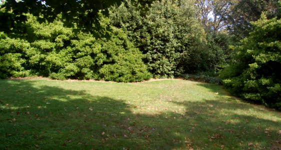 Site of former Quaker Burial Ground (behind hedges), The Green, Rottingdean (August 2019)