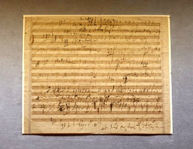 Sketches for the third and fourth movements of Piano Trio, op. 97, ('Archduke'), Beethoven, 1810-1811, musical autograph - Morgan Library & Museum - New York City - DSC06706