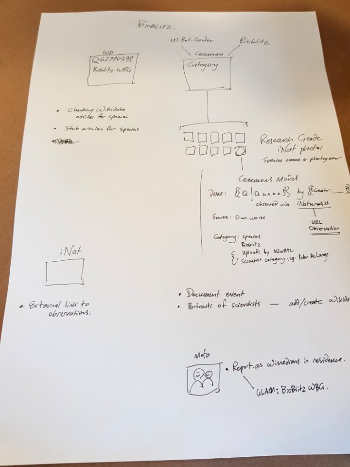 Siobhan Leachman and Mike Dickison's Wiki BioBlitz Brainstorm