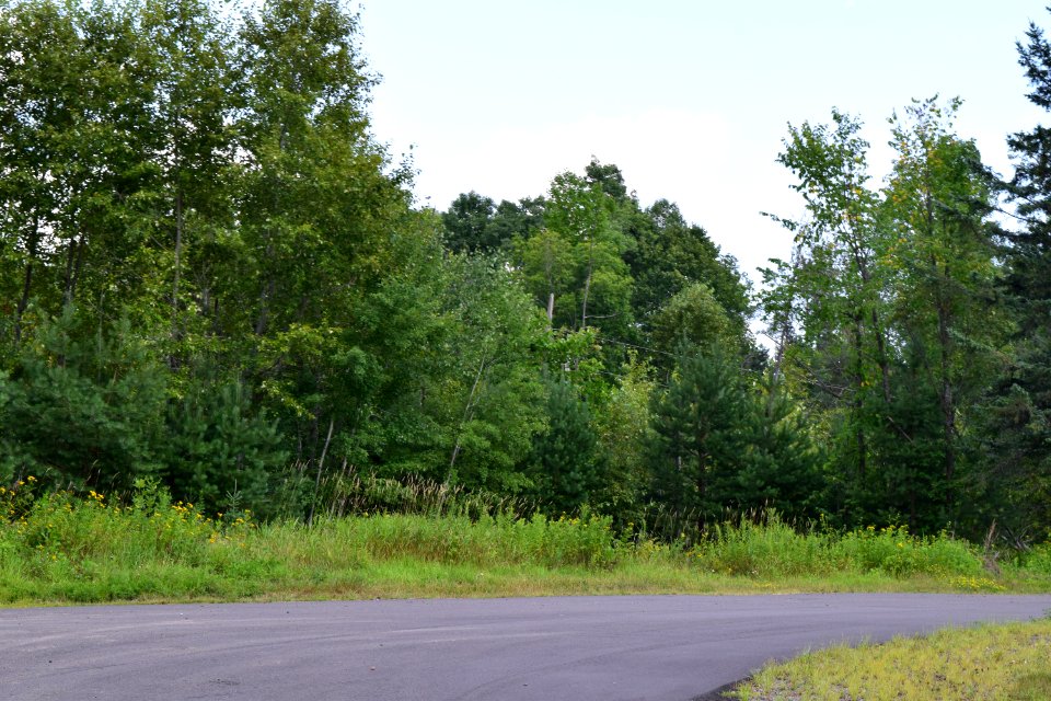 Site of the Ojibwa Courier Press Building