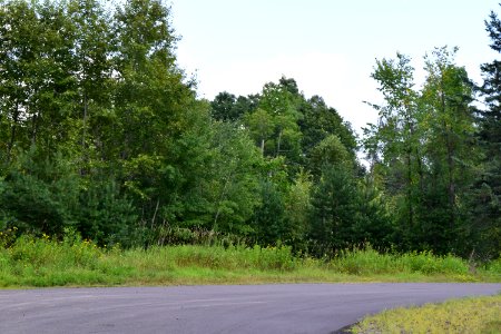 Site of the Ojibwa Courier Press Building