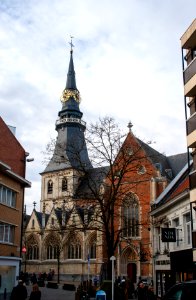Sint-Quintinuskathedraal 2010-02-27 x