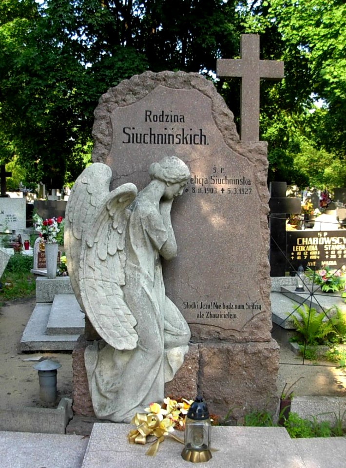 Siuchnińscy - nagrobek
