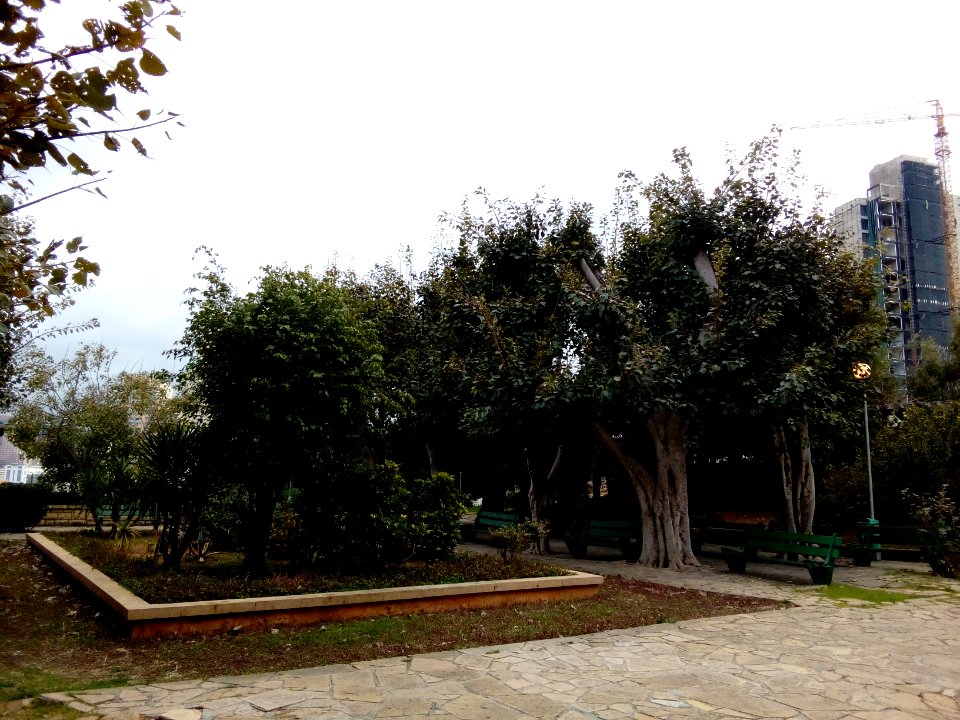 Sioufi Garden Achrafieh District 01