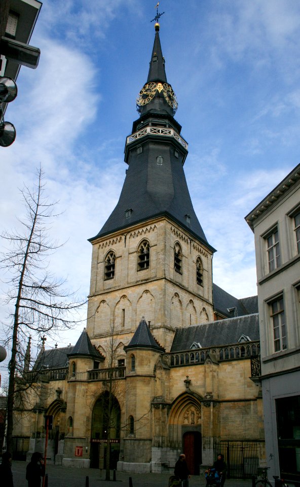 Sint-Quintinuskathedraal 2010-02-27