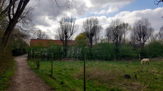 Sint-Lambrechts-Woluwe-Hof ter Musschen (6)