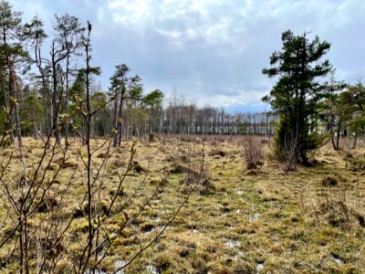 Sjösakärren naturreservat photo