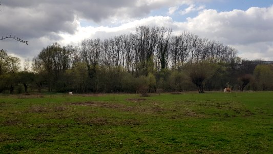 Sint-Lambrechts-Woluwe-Hof ter Musschen (2)