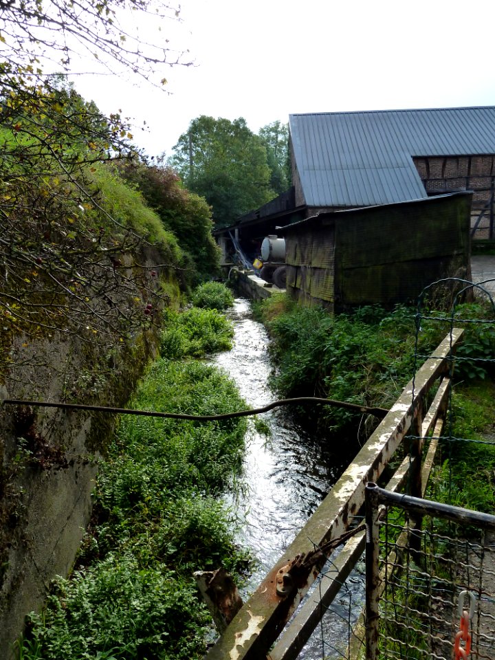 Sint-Martens-Voeren-Molen van Frisen8