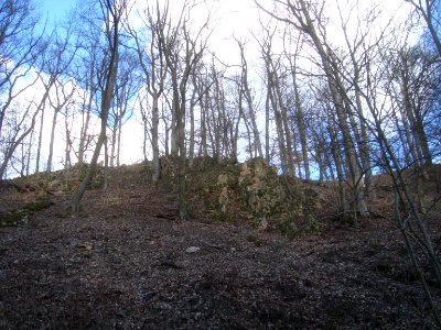 Skála08703