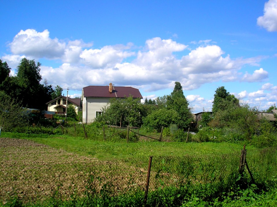 Sinyovo 2