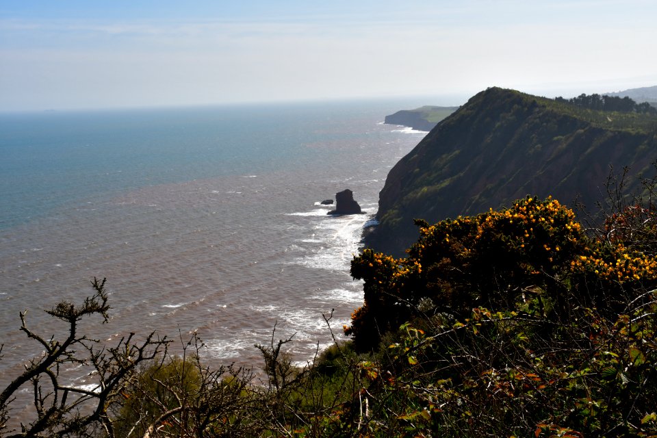 Sidmouth (2021-04-25) 14