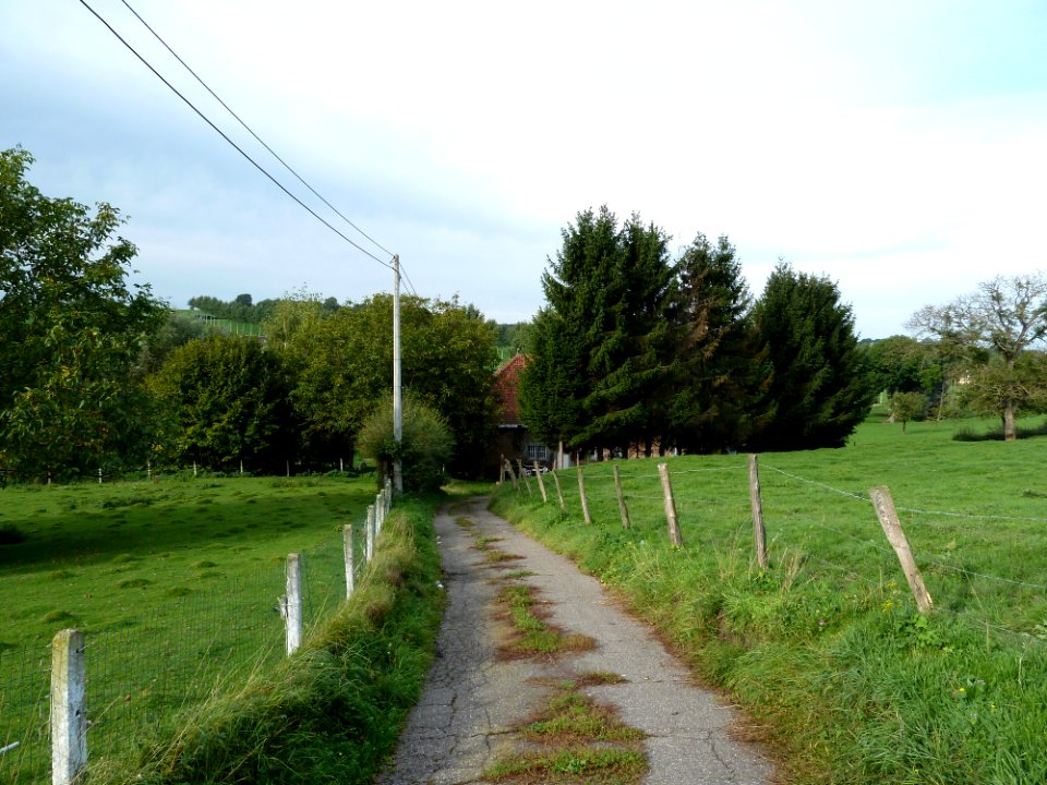 Sint-Pieters-Voeren-Ordenmolen1
