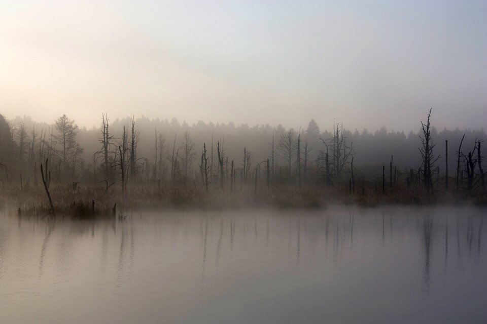 Autumn swamp nature reserve