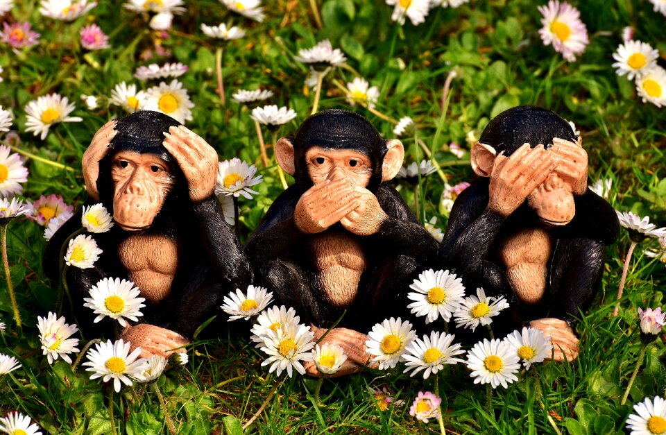 Ape figures funny