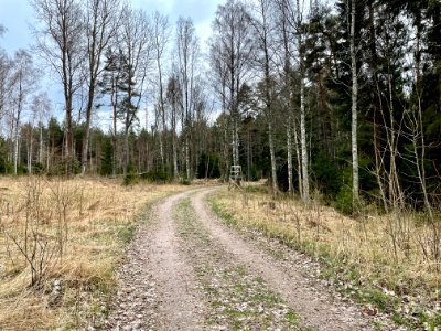 Sjösakärren naturreservat väg photo