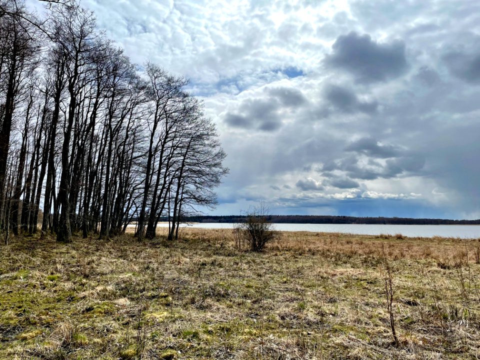 Sjösakärren naturreservat Sjösafjärden
