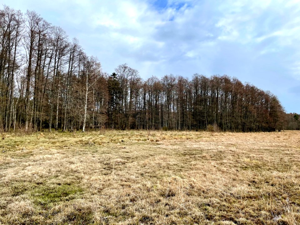Sjösakärren naturreservat vid Sjösafjärden