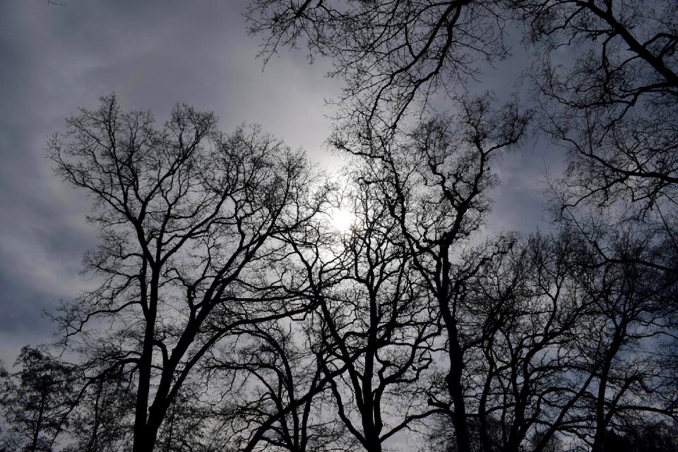 Backlighting wolkenspiel sky