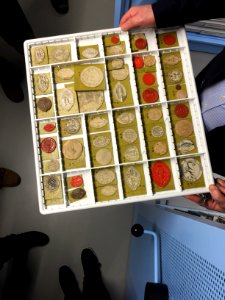 Siegelsammlung - Sächsisches Staatsarchiv Dresden 2