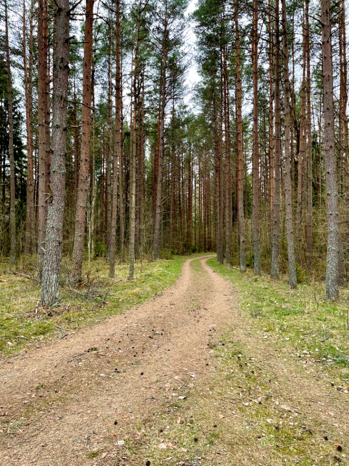 Sjösakärren väg