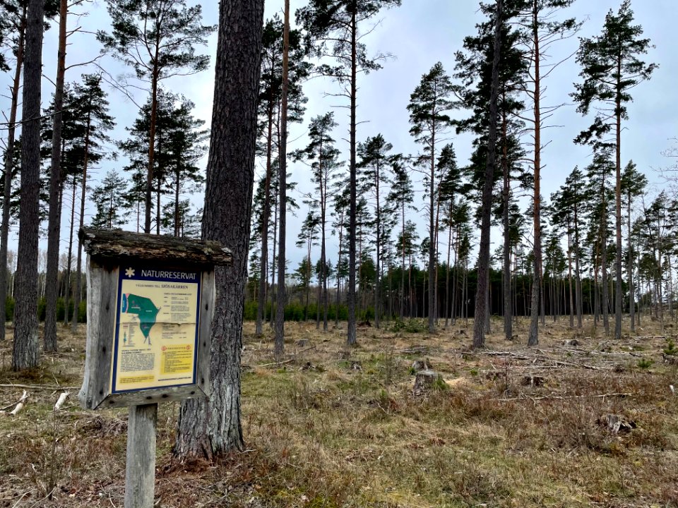 Sjösakärren naturreservat skylt