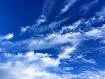 Wind flowing otsu park