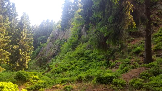Silberort auf Preußische Velmerstot (1)