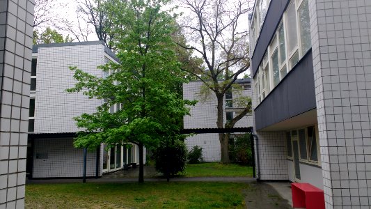 Siegmundshof Würfel
