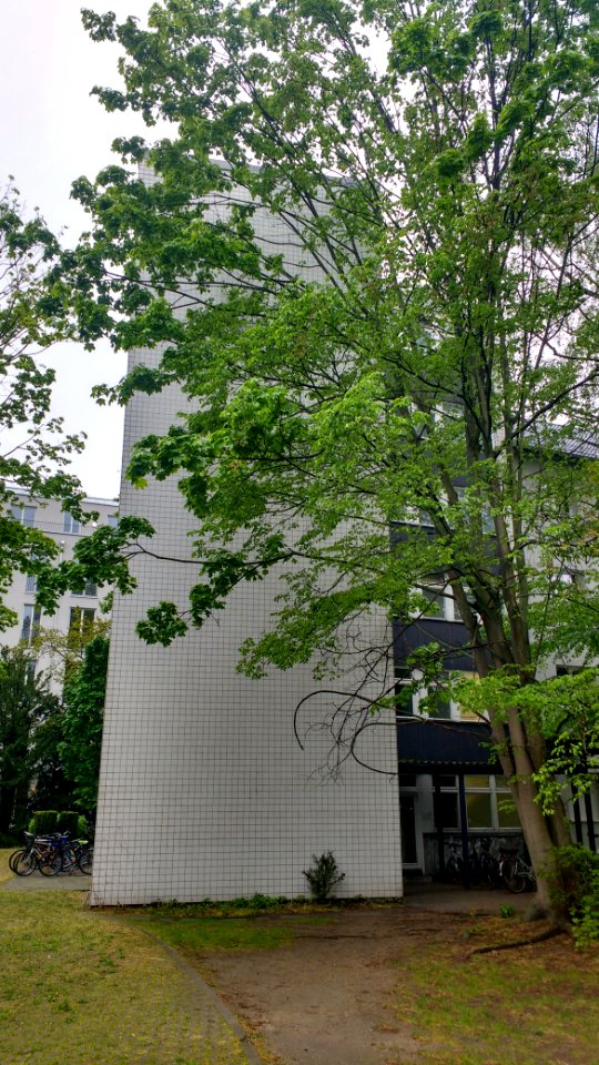 Siegmundshof Hochhaus