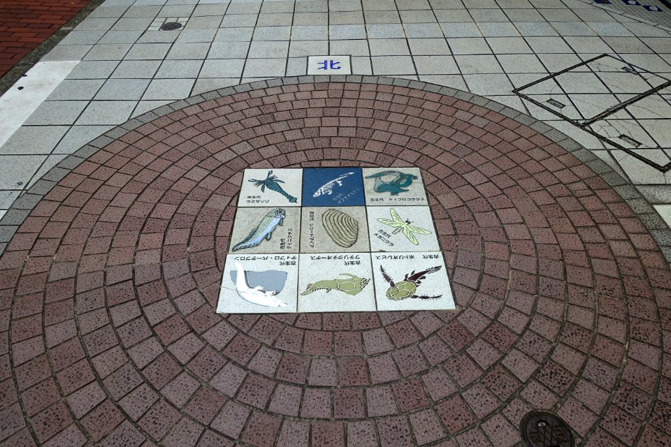 Sidewalk to Omori Kaizuka Shell Mounds - Omori, Tokyo, Japan -DSC05603