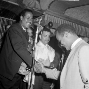 Sight Seeing , Harry Belafonte , opdracht De Telegraaf, Bestanddeelnr 916-4073