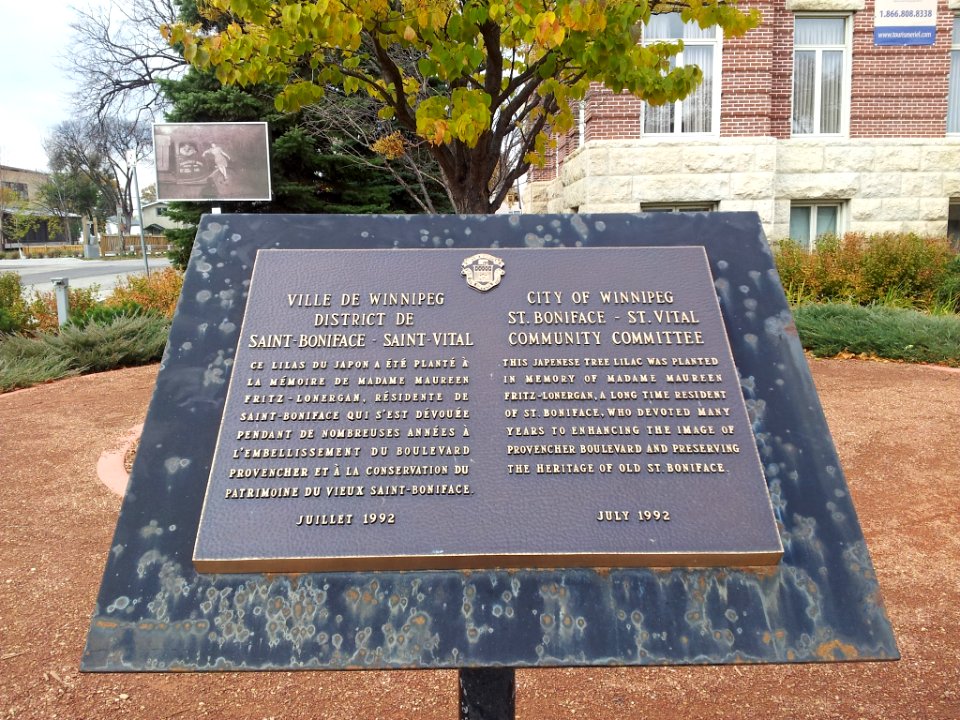 Signage for Japanese Tree Lilac at Jardin de sculptures in Winnipeg, Manitoba