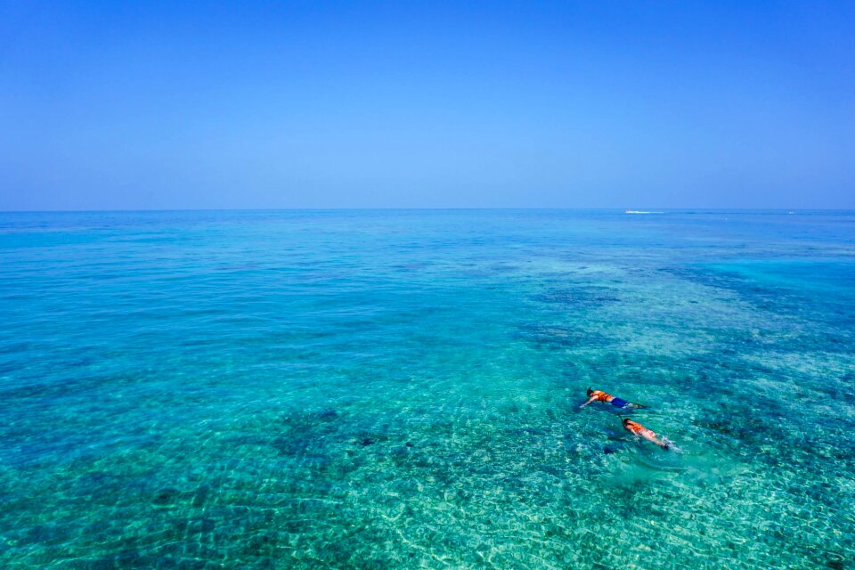 Water blue tropical