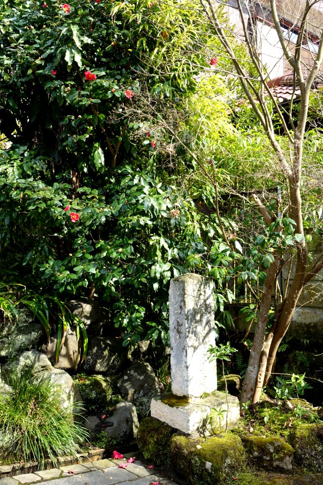 Signpost - Kaizo-ji - Kamakura, Kanagawa, Japan - DSC08194