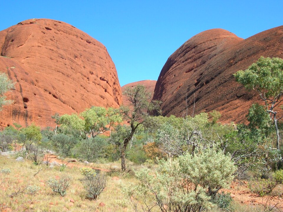 Nature uluru landscape