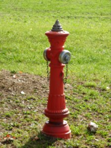 Silberfeld 04