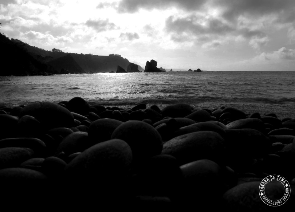 Silence (156912043)
