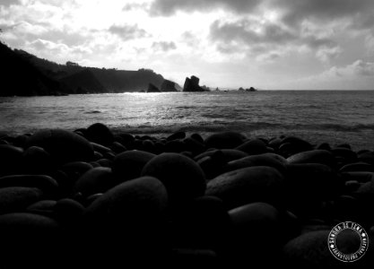 Silence (156912043)